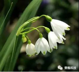 荣格化妆品.jpg