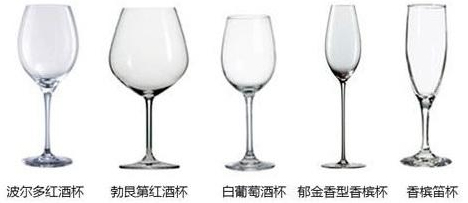 荣格.jpg
