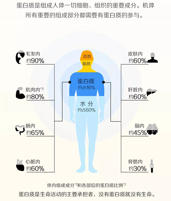 荣格产品怎么样.png